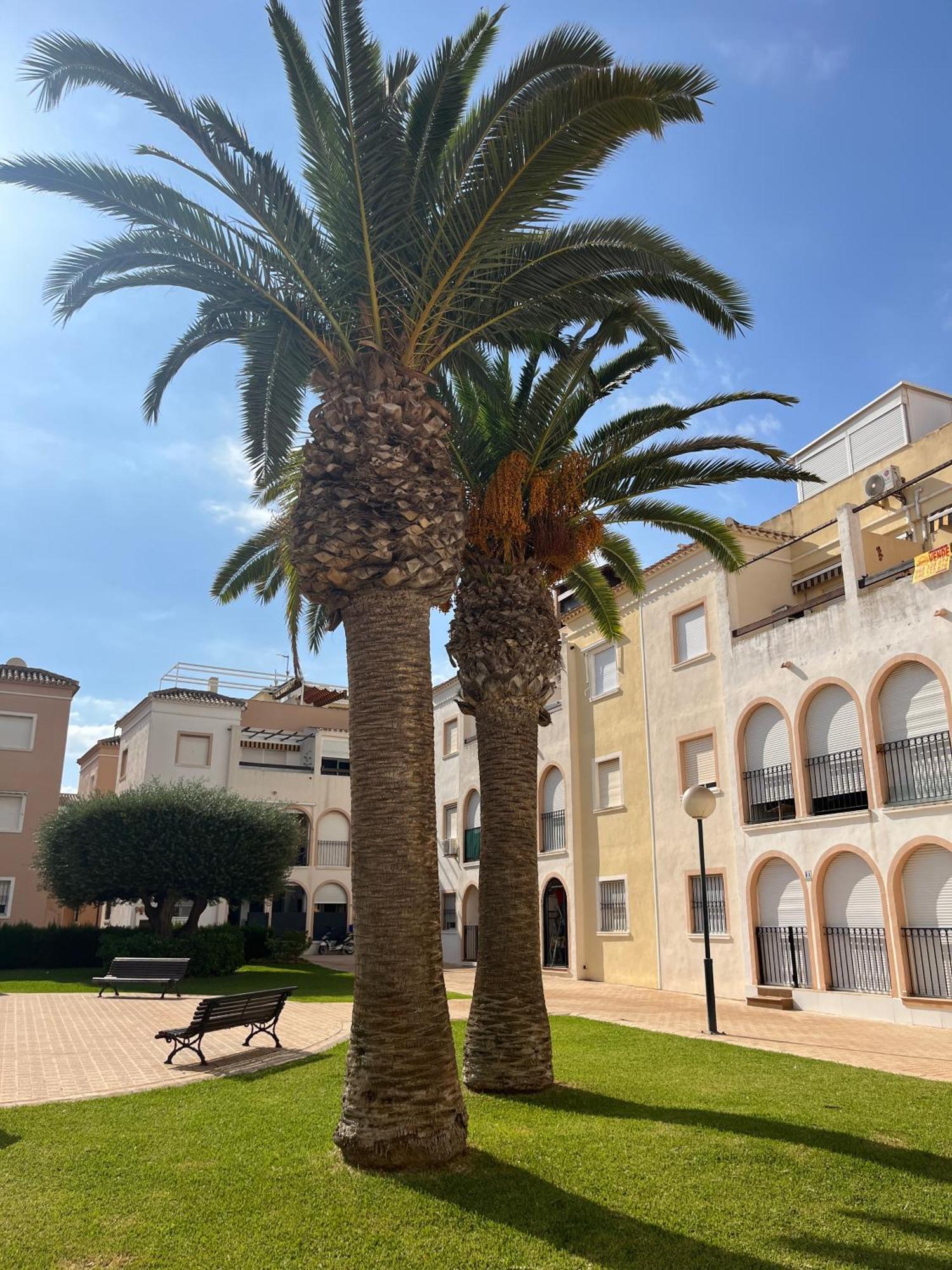 Torrevieja 2 Bedrooms Appartment Eksteriør bilde